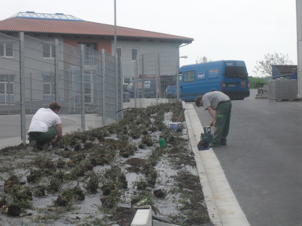 sauer-stiftung 3_m.jpg